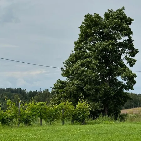 Vallimaee Glamping Otepaeae * Magestiku