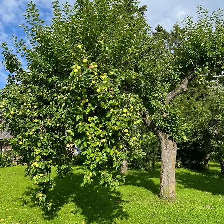Luxussátor Vallimaee Glamping Otepaeae *